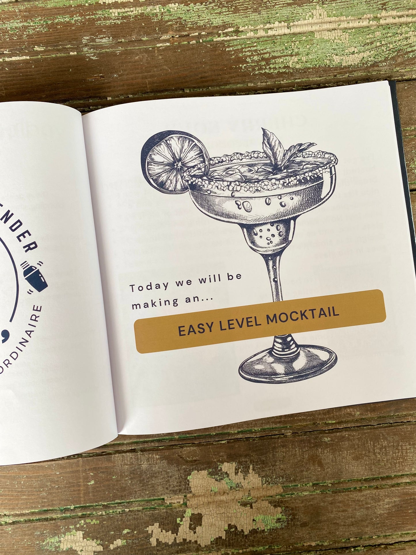 (SIGNED)The Teenage Bartender's Mocktail Guide (Hardcover)