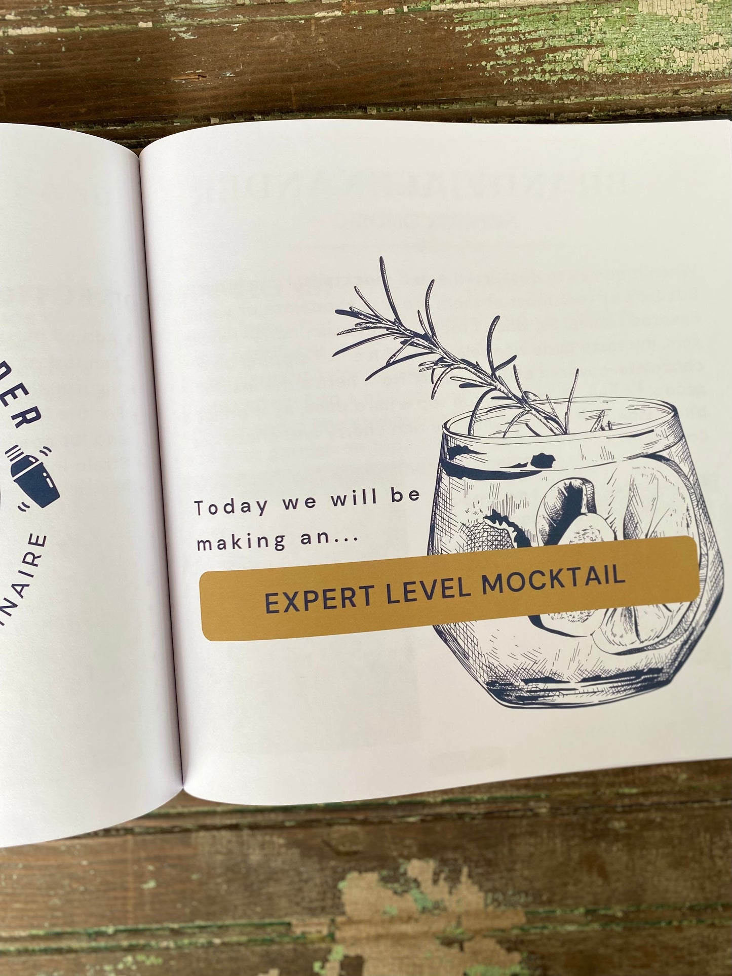 (SIGNED)The Teenage Bartender's Mocktail Guide (Hardcover)