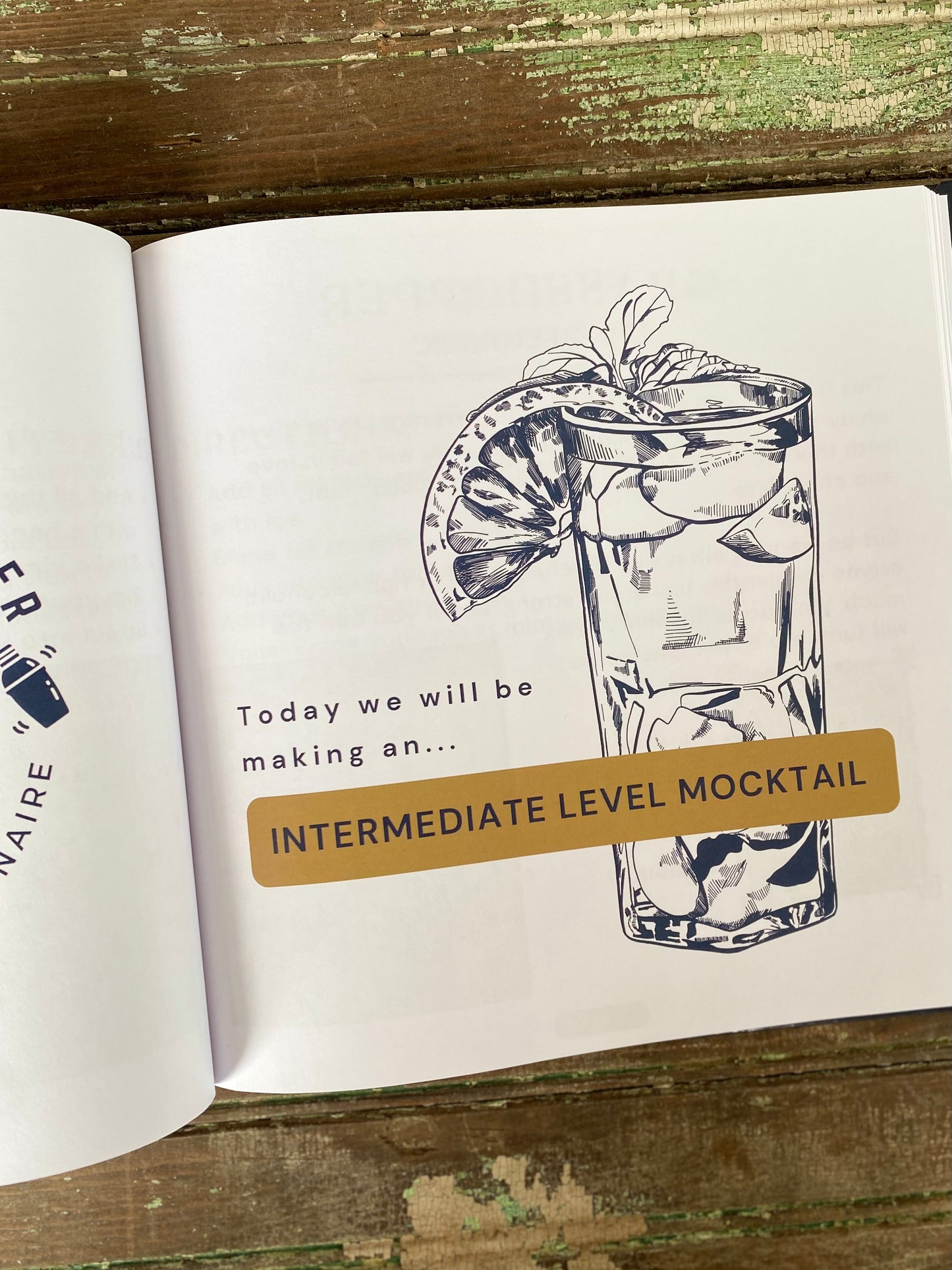 (SIGNED)The Teenage Bartender's Mocktail Guide (Hardcover)